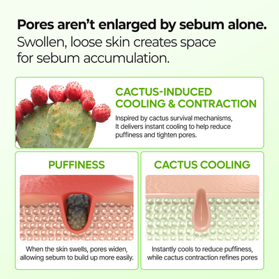 CACTOX Pore Relief Jelly Toner 60 Pads